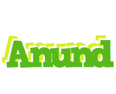 Anund picnic logo