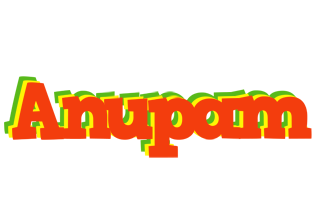 Anupam bbq logo