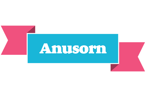 Anusorn today logo