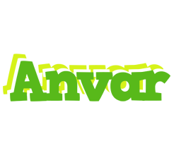 Anvar picnic logo