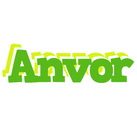 Anvor picnic logo