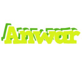 Anwar citrus logo