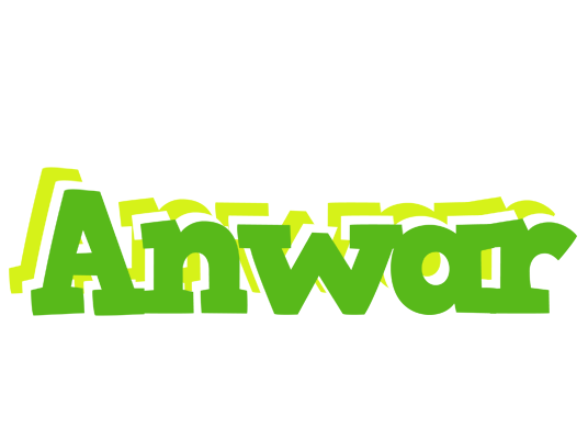 Anwar picnic logo