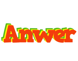 Anwer bbq logo