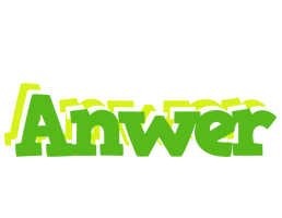 Anwer picnic logo