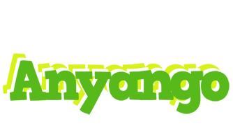 Anyango picnic logo