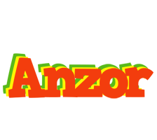 Anzor bbq logo