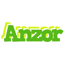 Anzor picnic logo