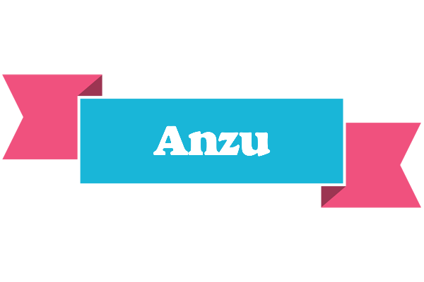Anzu today logo