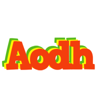 Aodh bbq logo