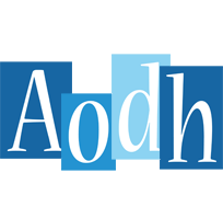Aodh winter logo