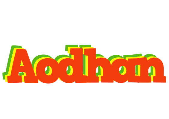 Aodhan bbq logo