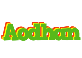 Aodhan crocodile logo