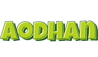 Aodhan summer logo