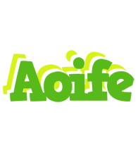 Aoife picnic logo