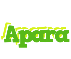 Apara picnic logo