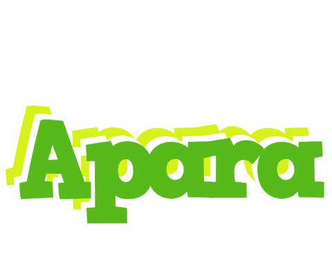 Apara picnic logo