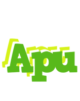 Apu picnic logo