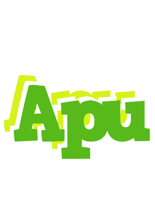 Apu picnic logo