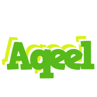 Aqeel picnic logo