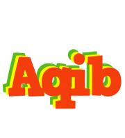 Aqib bbq logo
