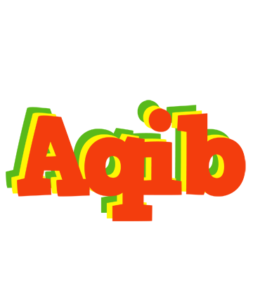 Aqib bbq logo
