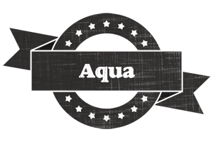 Aqua grunge logo