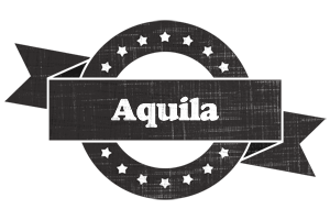 Aquila grunge logo