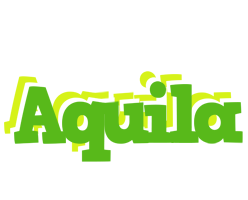 Aquila picnic logo