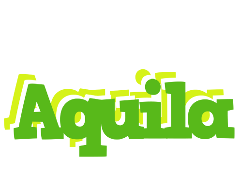 Aquila picnic logo