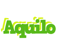 Aquilo picnic logo