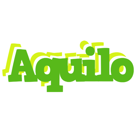 Aquilo picnic logo