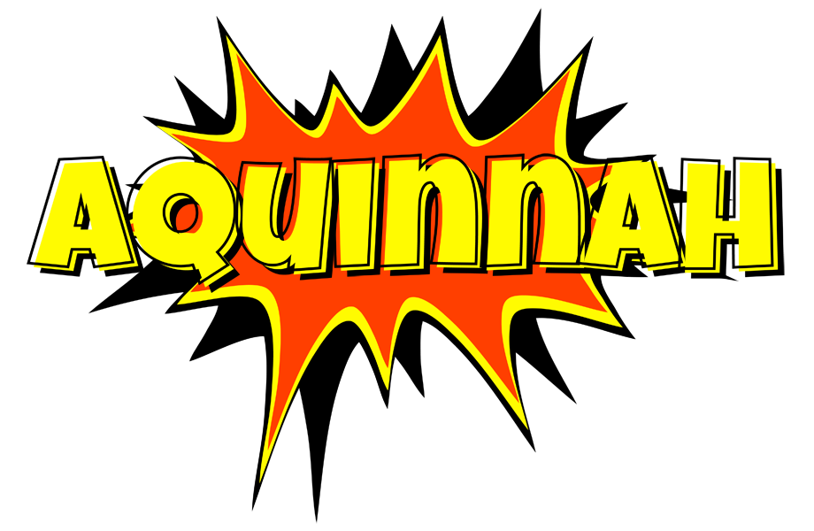 Aquinnah bazinga logo
