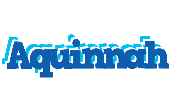 Aquinnah business logo