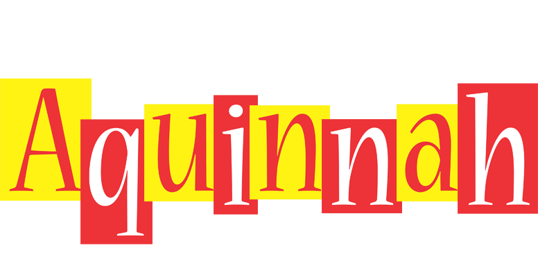 Aquinnah errors logo