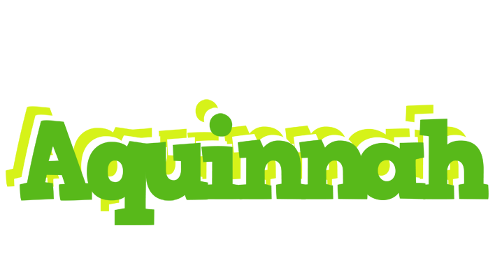 Aquinnah picnic logo