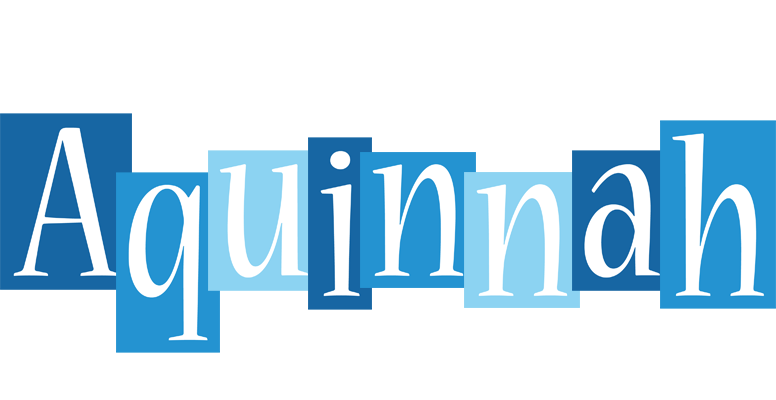 Aquinnah winter logo
