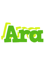 Ara picnic logo