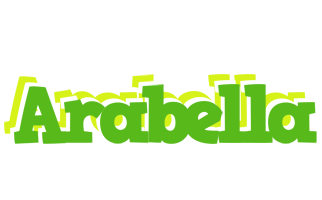 Arabella picnic logo