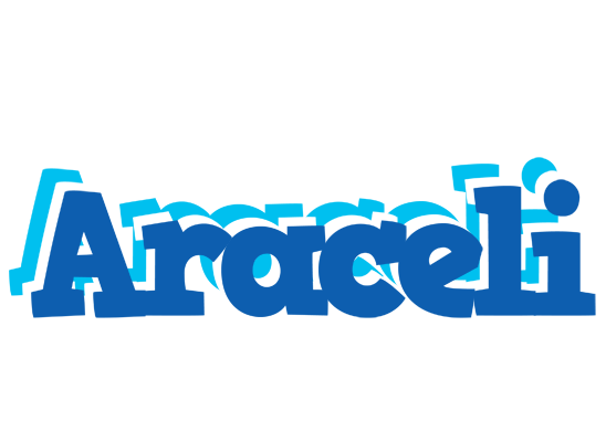 Araceli business logo