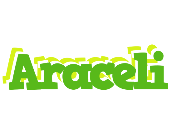 Araceli picnic logo
