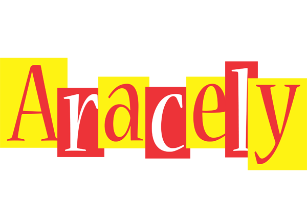 Aracely errors logo