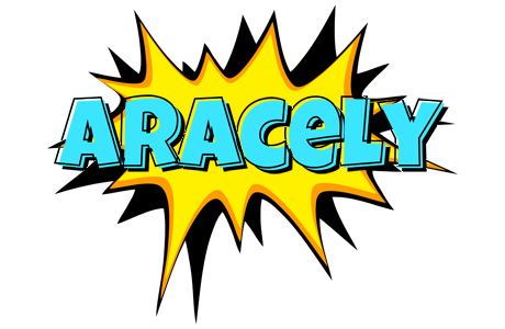 Aracely indycar logo