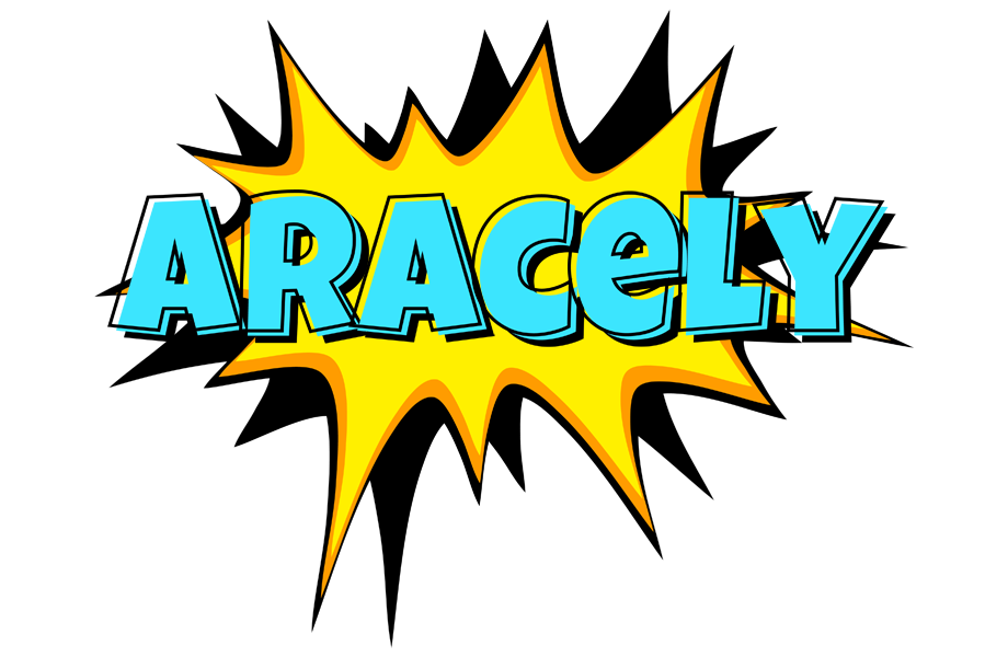 Aracely indycar logo