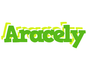 Aracely picnic logo