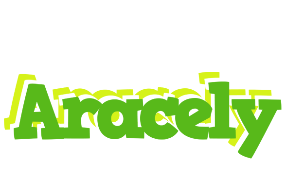 Aracely picnic logo