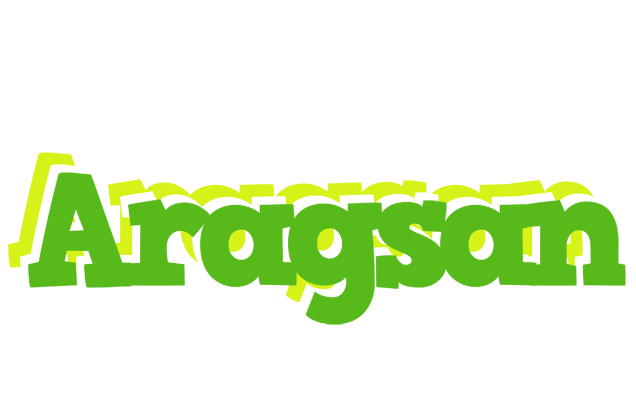 Aragsan picnic logo