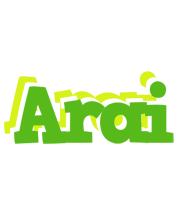 Arai picnic logo