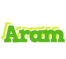 Aram picnic logo