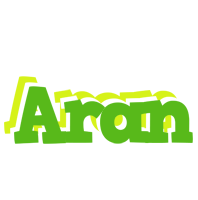 Aran picnic logo